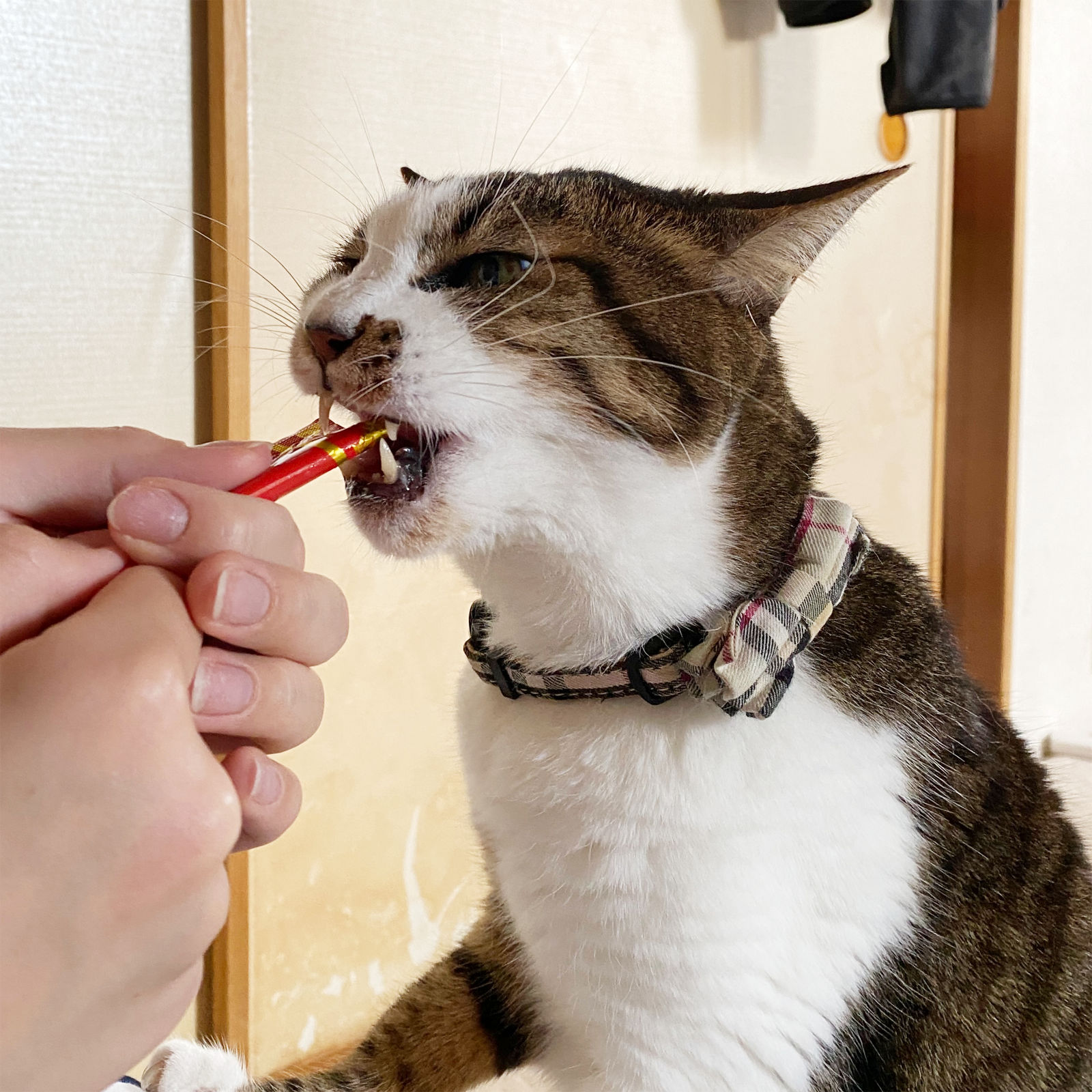 イメージ画像